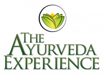 The Ayurveda experience